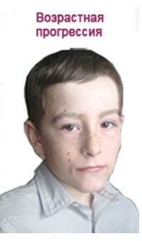 В Липецкой области СКР разыскивает пропавшего мальчика В Липецкой области СКР разыскивает пропавшего мальчика