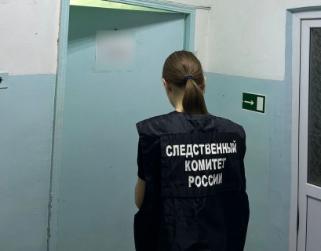 В Туркменском округе следователи СКР выясняют обстоятельства смерти несовершеннолетнего